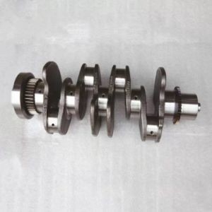 After-sales Service 12200-06J02 Crankshaft for Nissan Td42 Engine